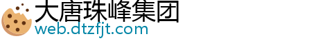 大唐珠峰集团